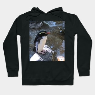 Snares penguin, New Zealand Hoodie